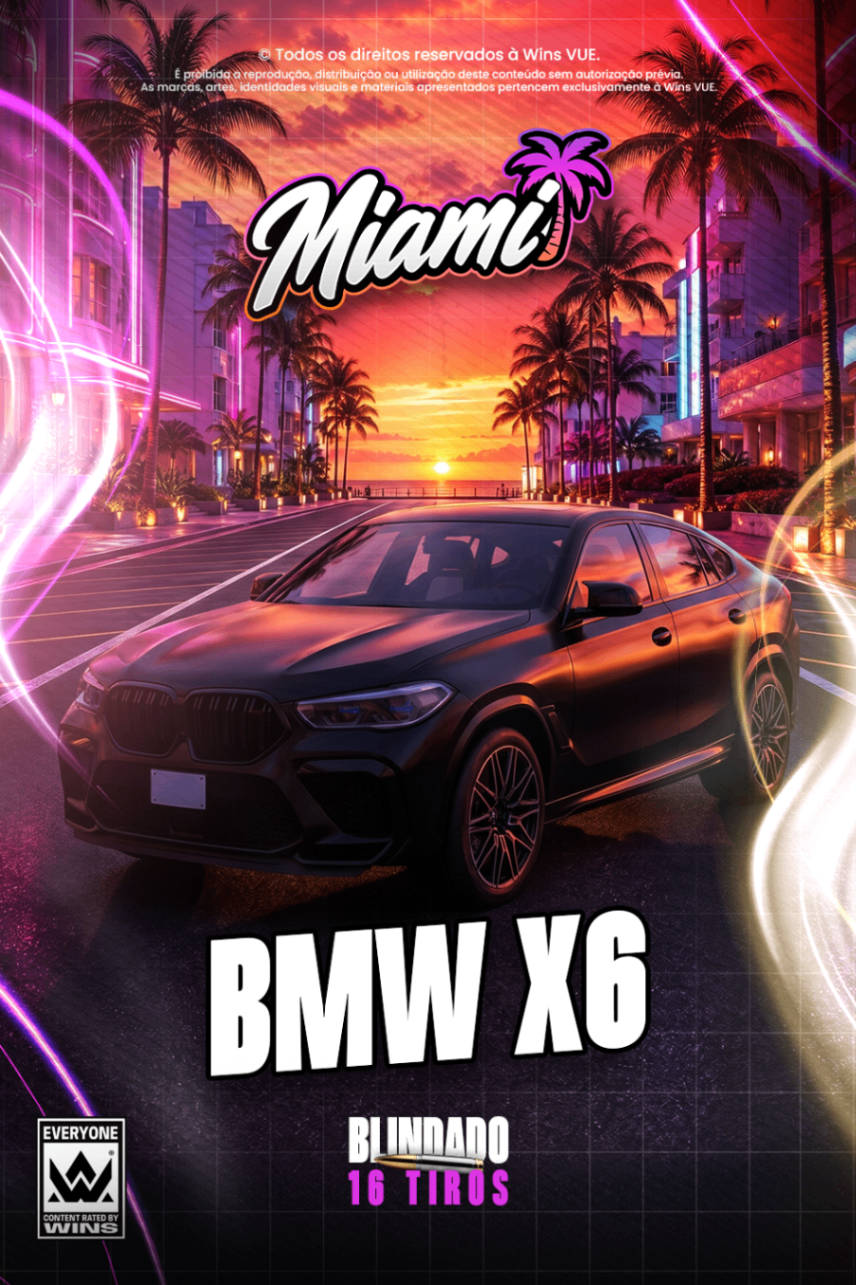 BMW X6 16 Tiros